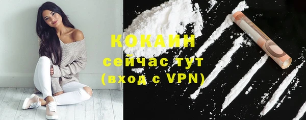 сатива Новозыбков