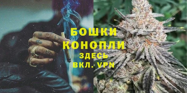шишки Новодвинск