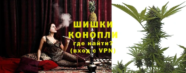 шишки Новодвинск