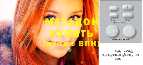 сатива Новозыбков