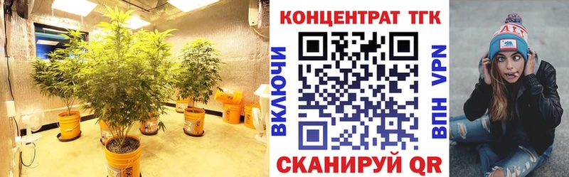 ссылка на мегу   Суздаль  Дистиллят ТГК THC oil 